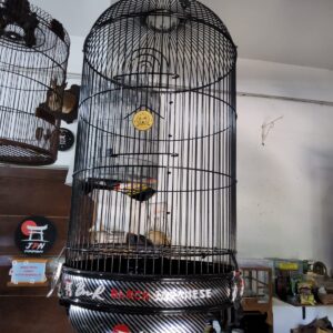 sangkar love bird black japanese carbon